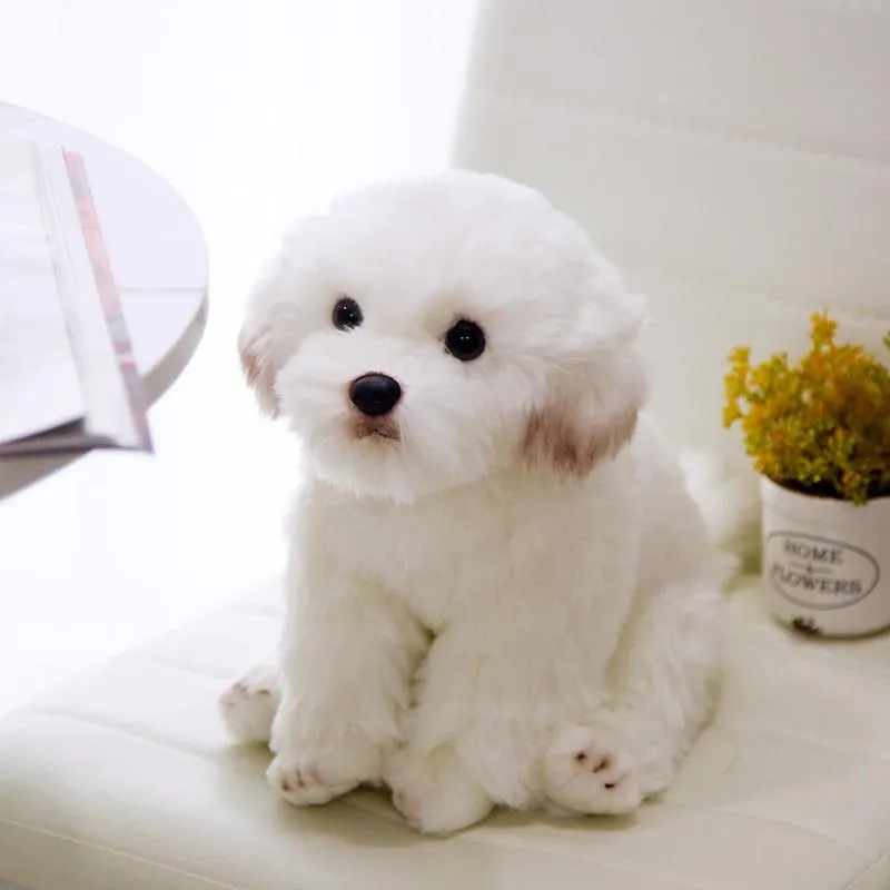 9 Kinds Dog Simulation Bichon Frise Plush Dog Toy Super Cute Likelife Corgi Dog Doll Stuffed Animal Maltese Dog Puppy Pets Toys