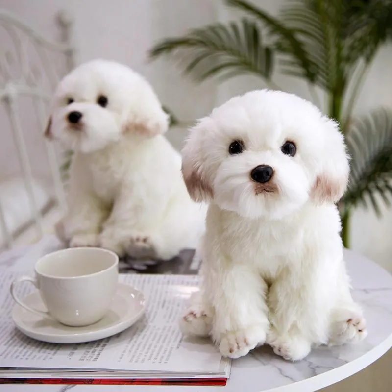 9 Kinds Dog Simulation Bichon Frise Plush Dog Toy Super Cute Likelife Corgi Dog Doll Stuffed Animal Maltese Dog Puppy Pets Toys