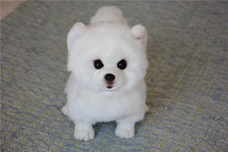 9 Kinds Dog Simulation Bichon Frise Plush Dog Toy Super Cute Likelife Corgi Dog Doll Stuffed Animal Maltese Dog Puppy Pets Toys