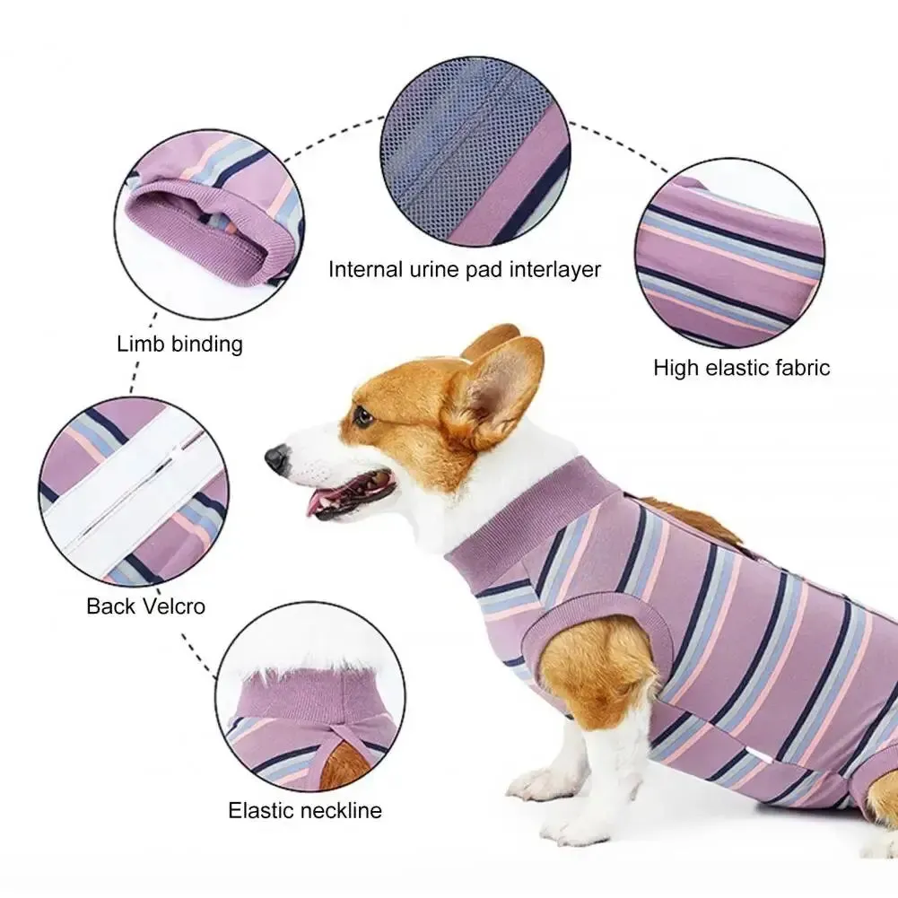 AnniePaw CareTech Dog Healing Suit Comfortable Sterilization Recovery