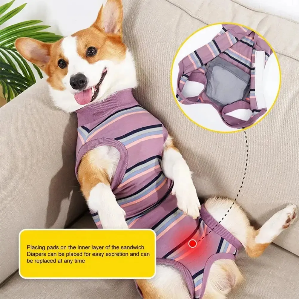 AnniePaw CareTech Dog Healing Suit Comfortable Sterilization Recovery