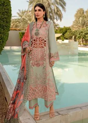 Carnation Summer Lawn Collection '24 by Rang Rasiya | ORCHID