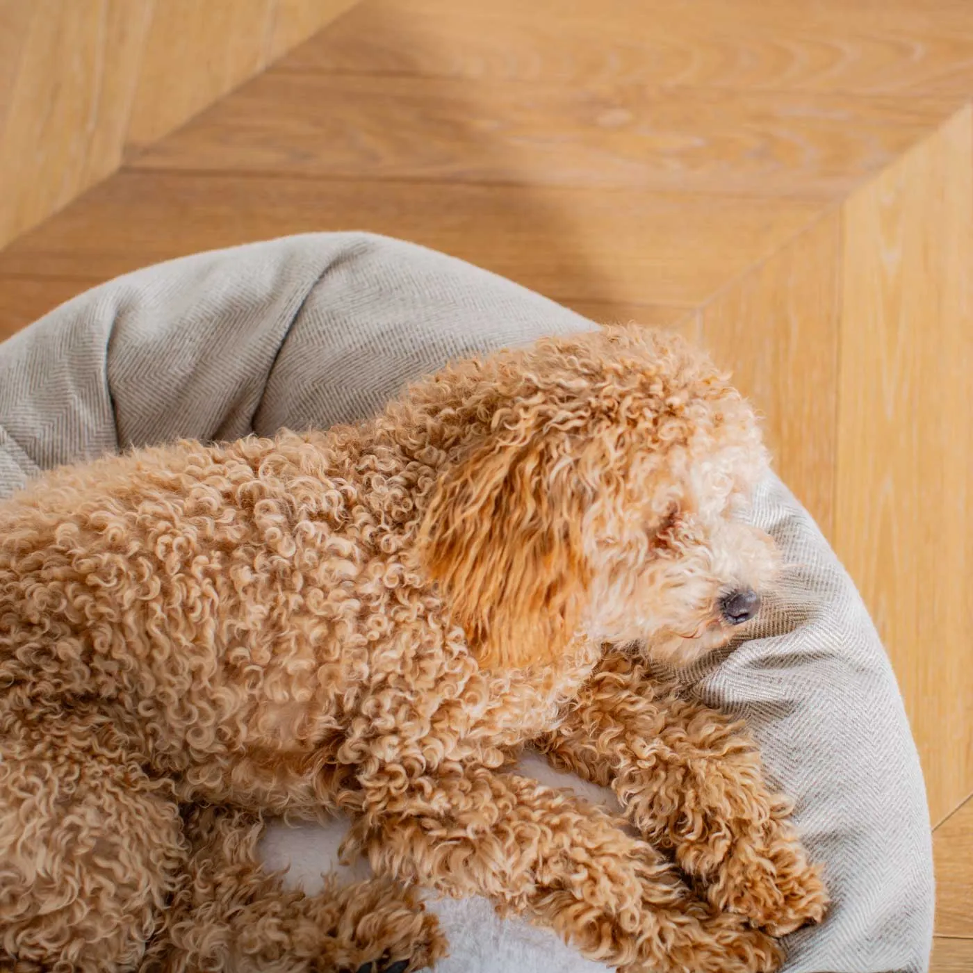 Donut Bed in Natural Herringbone Tweed by Lords & Labradors