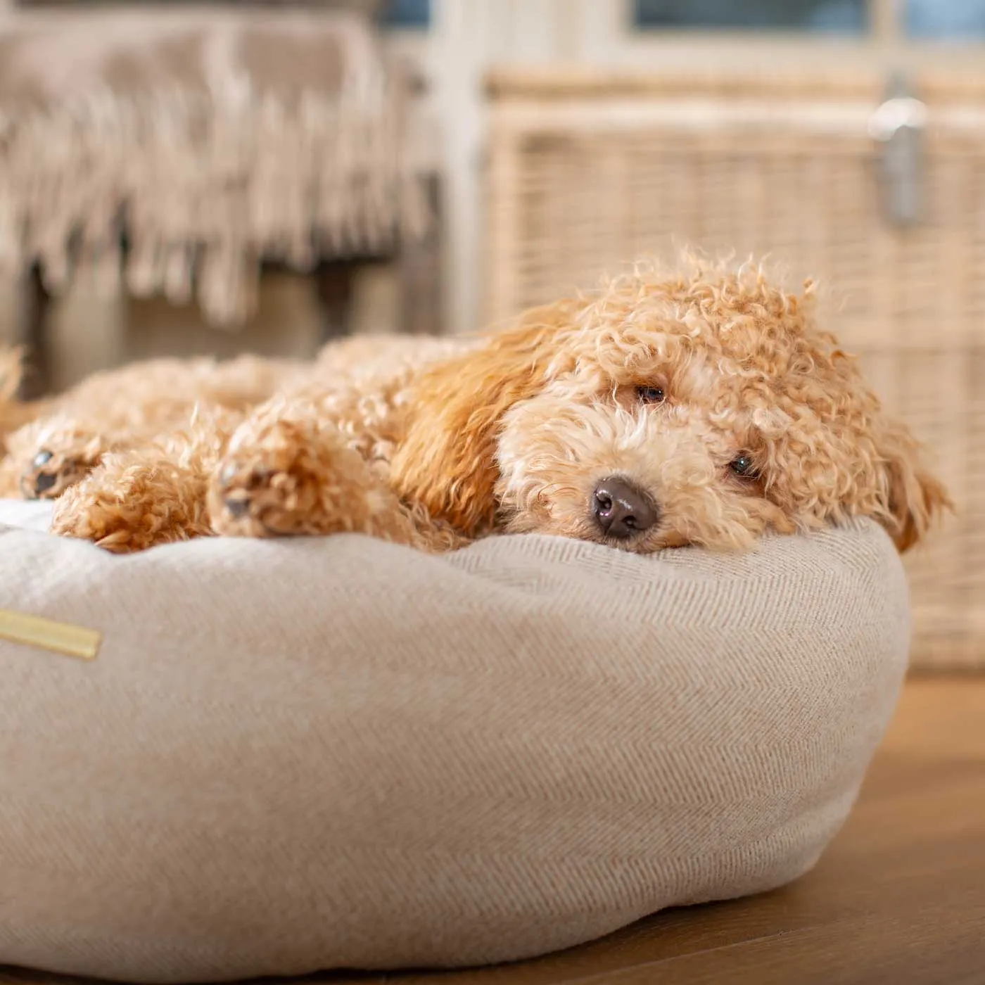 Donut Bed in Natural Herringbone Tweed by Lords & Labradors