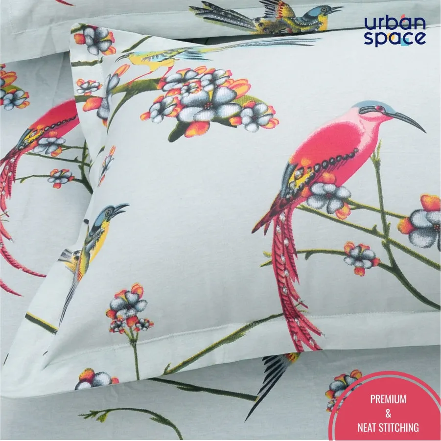 Fitted King Size Cotton Bedsheet - Sparrow Aqua