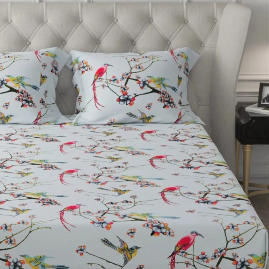 Fitted King Size Cotton Bedsheet - Sparrow Aqua