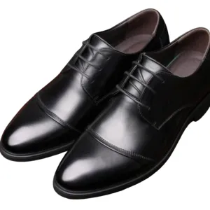 Pologize™ Elegant Formal Shoes