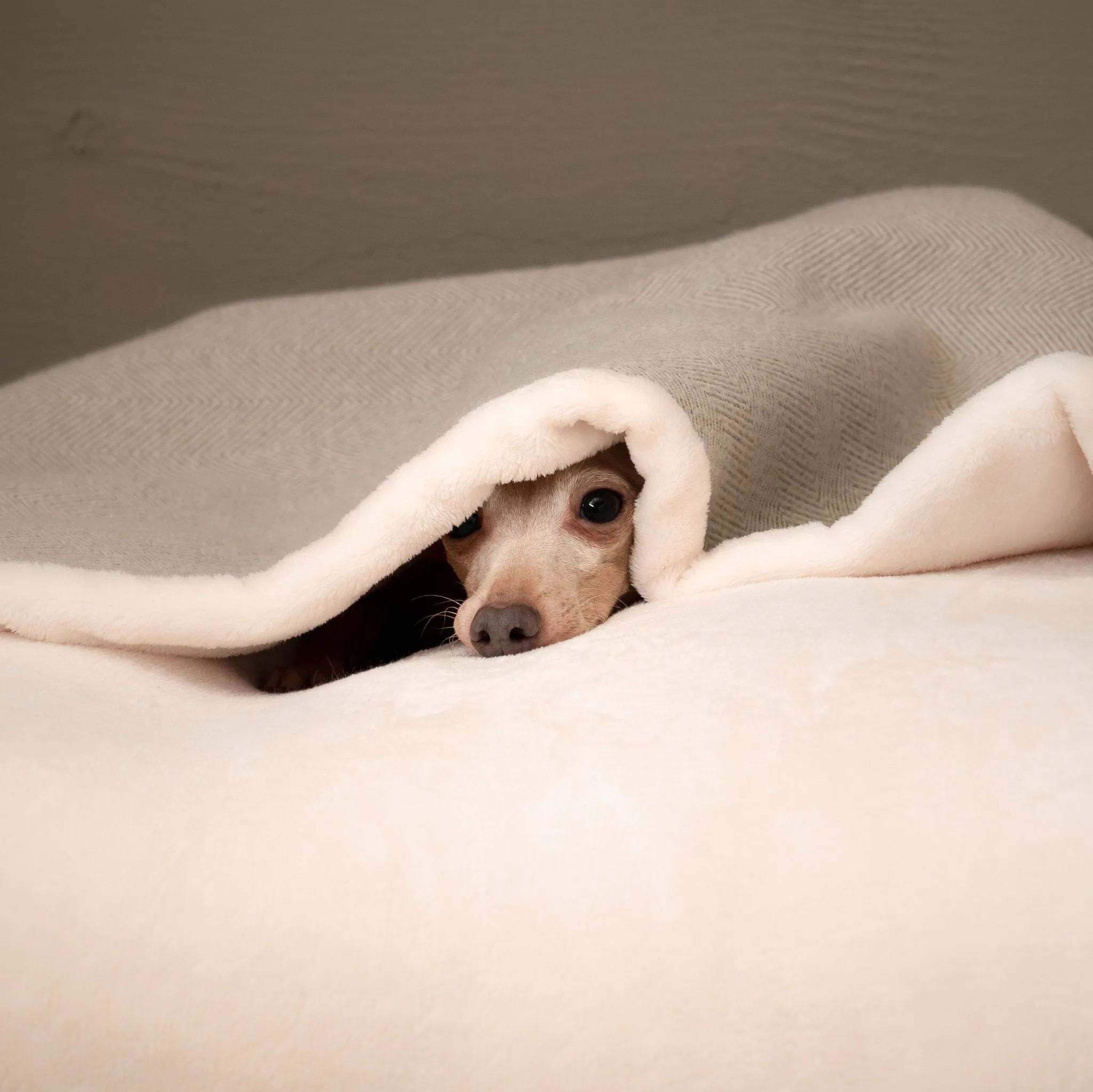 Sleepy Burrows Bed in Natural Herringbone by Lords & Labradors